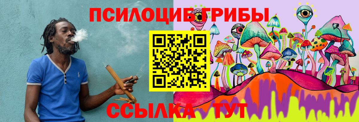 Псилоцибиновые грибы Magic Shrooms Геленджик