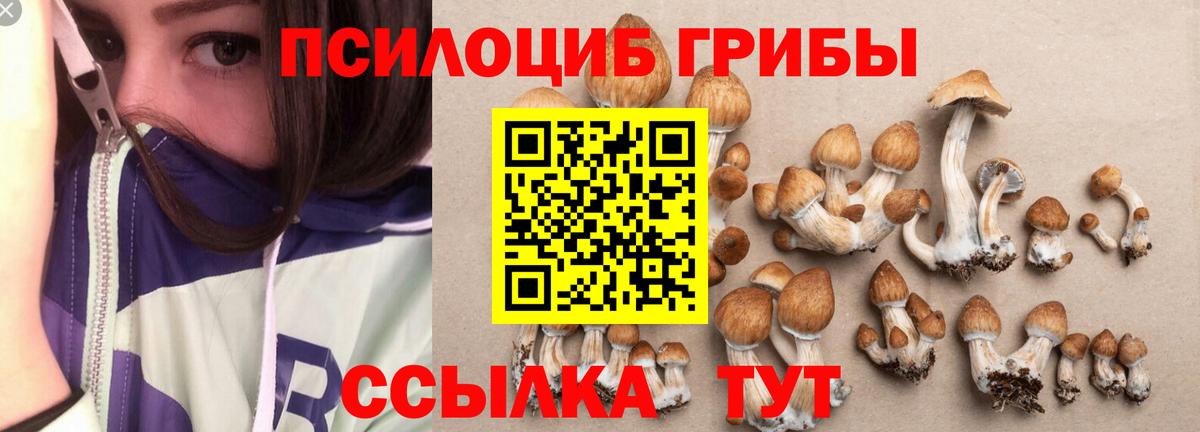 Псилоцибиновые грибы прущие грибы  Вход с VPN  Псилоцибиновые грибы MAGIC MUSHROOMS  Геленджик 